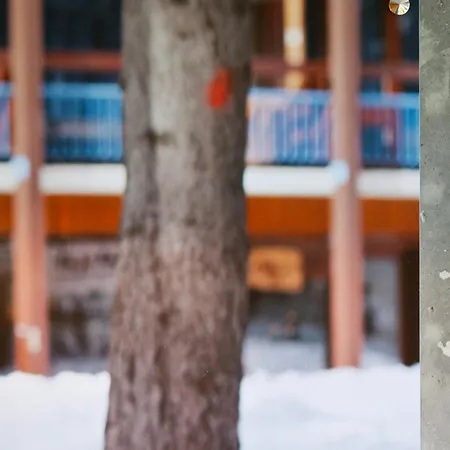 Apartmán Studio Renove Ski Aux Pieds Avec Balcon, Animaux Admis - Fr-1-346-346