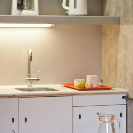 Appartement Rénové Aux Pieds Avec Balcon, Animaux Admis - Fr-1-346-346